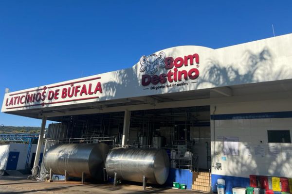 Visita a Latic&iacute;nios Bom Destino