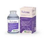 Irmãos Brant - Tulaxx 100 mL