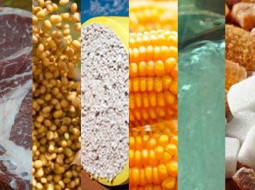 Irmãos Brant - Tarifa de importação de carne, café, açúcar, milho e azeite serão zeradas, anuncia governo