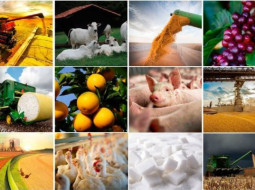 Irmãos Brant - Brasil bate recorde histórico na produção de carnes e ovos em 2024