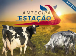 Irmãos Brant - Antecipa Estação – Promoção CRV Lagoa