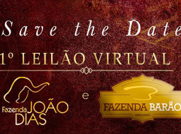 Irmãos Brant - Primeiro Leilão Virtual Fazenda João Dias e Fazenda Barão
