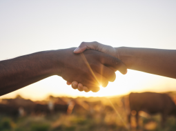 Irmãos Brant - BNDES aprova R$ 52,3 bi para o agro em 2024, 26% a mais do que no ano anterior