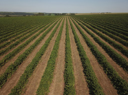 Irmãos Brant - Aberto o prazo para entrega da Declaração do Imposto Territorial Rural