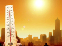 Irmãos Brant - Calor extremo pode impactar o rebanho bovino