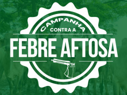 Irmãos Brant - Campanha contra a febre aftosa termina em 31 de maio