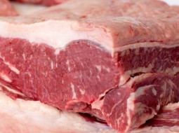 Irmãos Brant - Exportação de carne bovina atinge 83,343 mil toneladas em agosto