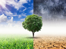 Irmãos Brant - Dia tem alerta de temporais e temperaturas chegando a 40°C