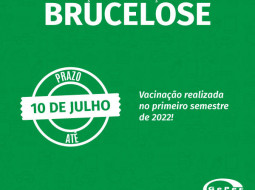 Irmãos Brant - Produtor, declare até 10/7 a vacinação de bovinas e bubalinas de 3 a 8 meses de idade