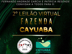 Irmãos Brant - 2º Leilão Virtual da Fazenda Cayuaba