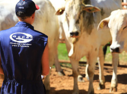 Irmãos Brant - Gepec e Sebrae Minas [Sebraetec]