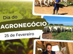 Irmãos Brant - Dia do Agronegócio