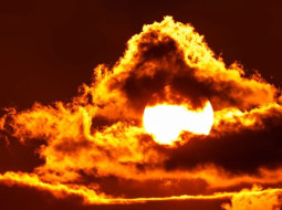 Irmãos Brant - Onda de calor: quais os Estados mais afetados pelo fenômeno?