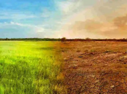 Irmãos Brant - La Niña em 2024: tudo o que sabemos sobre a chegada do fenômeno