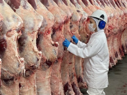 Irmãos Brant - Receita com exportações despenca em julho