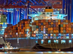 Irmãos Brant - Carne bovina: exportações totais em ago/24 superaram pela 1ª vez as 300 mil t, informa Abrafrigo