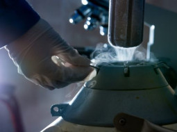 Irmãos Brant - Produção e exportação de sêmen bovino crescem no 1º trimestre, informa Asbia