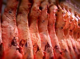 Irmãos Brant - Brasil conquista novo mercado para exportação de carnes