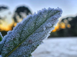 Irmãos Brant - Nova frente fria trará chuva e queda de temperatura ao Centro-Sul