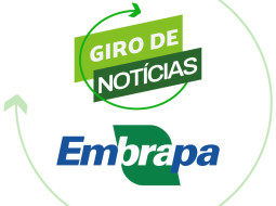 Irmãos Brant - Sistema inédito monitora remotamente a temperatura corporal de bovinos