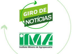 Irmãos Brant - Surto de gripe aviária nos EUA traz lições para o produtor rural mineiro