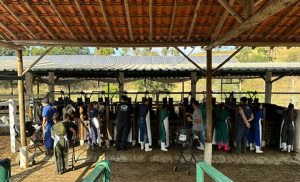 Cursos e Treinamentos