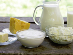 Irmãos Brant - Mercado do leite: atualização quinzenal 26/02/2025