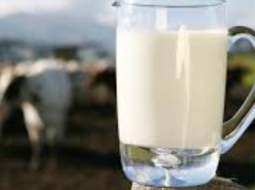 Irmãos Brant - Preço do leite ao produtor registra queda