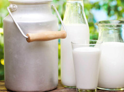 Irmãos Brant - O poder de compra do leite em 2024