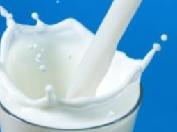 Irmãos Brant - Cepea: preço do leite ao produtor volta a subir