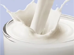 Irmãos Brant - O que há de oportunidades na precificação do leite?