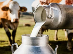 Irmãos Brant - Como os produtores de leite estão lidando com os desafios atuais do clima?