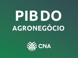 Irmãos Brant - CNA divulga resultado do PIB do agro até o 3º trimestre de 2024