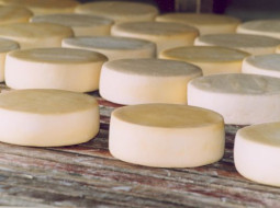 Irmãos Brant - Dia Nacional e Mundial do Queijo: entenda como as pesquisas interferem na caracterização das iguarias