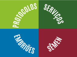 Irmãos Brant - Reprodução é coisa séria!