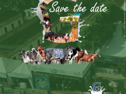 Irmãos Brant - SAVE THE DATE! MEGALEITE 2022 já tem data marcada!