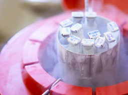 Irmãos Brant - Boi: produção brasileira de sêmen bovino cai 22% em 2023