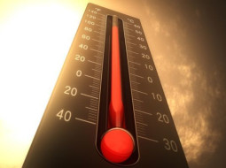 Irmãos Brant - Ano de 2024 pode bater recorde e ser o mais quente da história, alertam cientistas