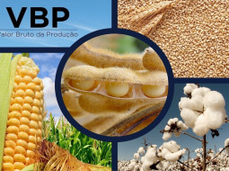 Irmãos Brant - Valor da Produção Agropecuária de 2022 está estimado em R$ 1,241 trilhão