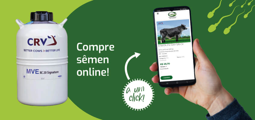 Compre sêmen da CRV Lagoa online no site da Gepec