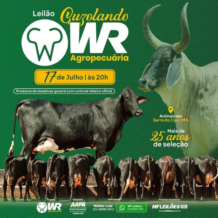 Leil&atilde;o Guzolando WR Agropecu&aacute;ria