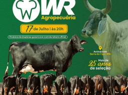 Irmãos Brant - Leilão Guzolando WR Agropecuária