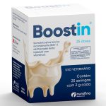 Irmãos Brant - Boostin (Seringa)