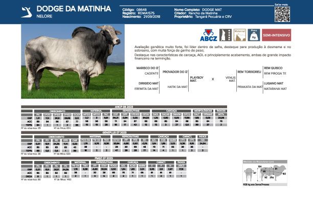 DODGE MATINHA CV
