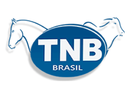 TNB