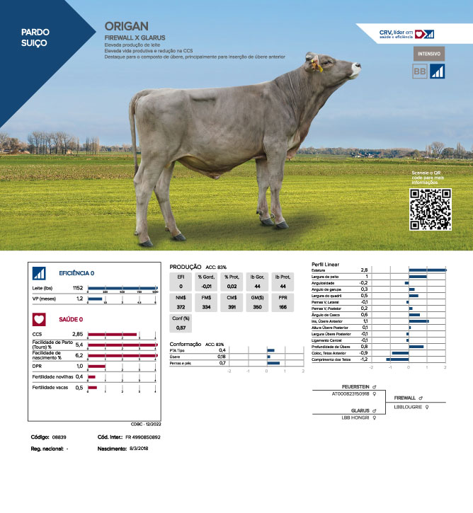 ORIGAN - PARDO SUI&Ccedil;O