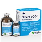 Irmãos Brant - Sincro ECG 6000 UI