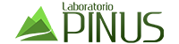 Pinus