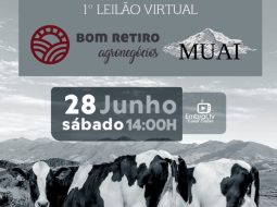 Irmãos Brant - 1º Leilão Virtual Bom Retiro Agronegócios