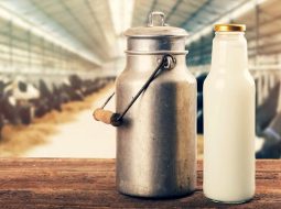 Irmãos Brant - [LEITE/CEPEA] Preço cai 19% em um ano; margens de produtores e indústrias se comprimem